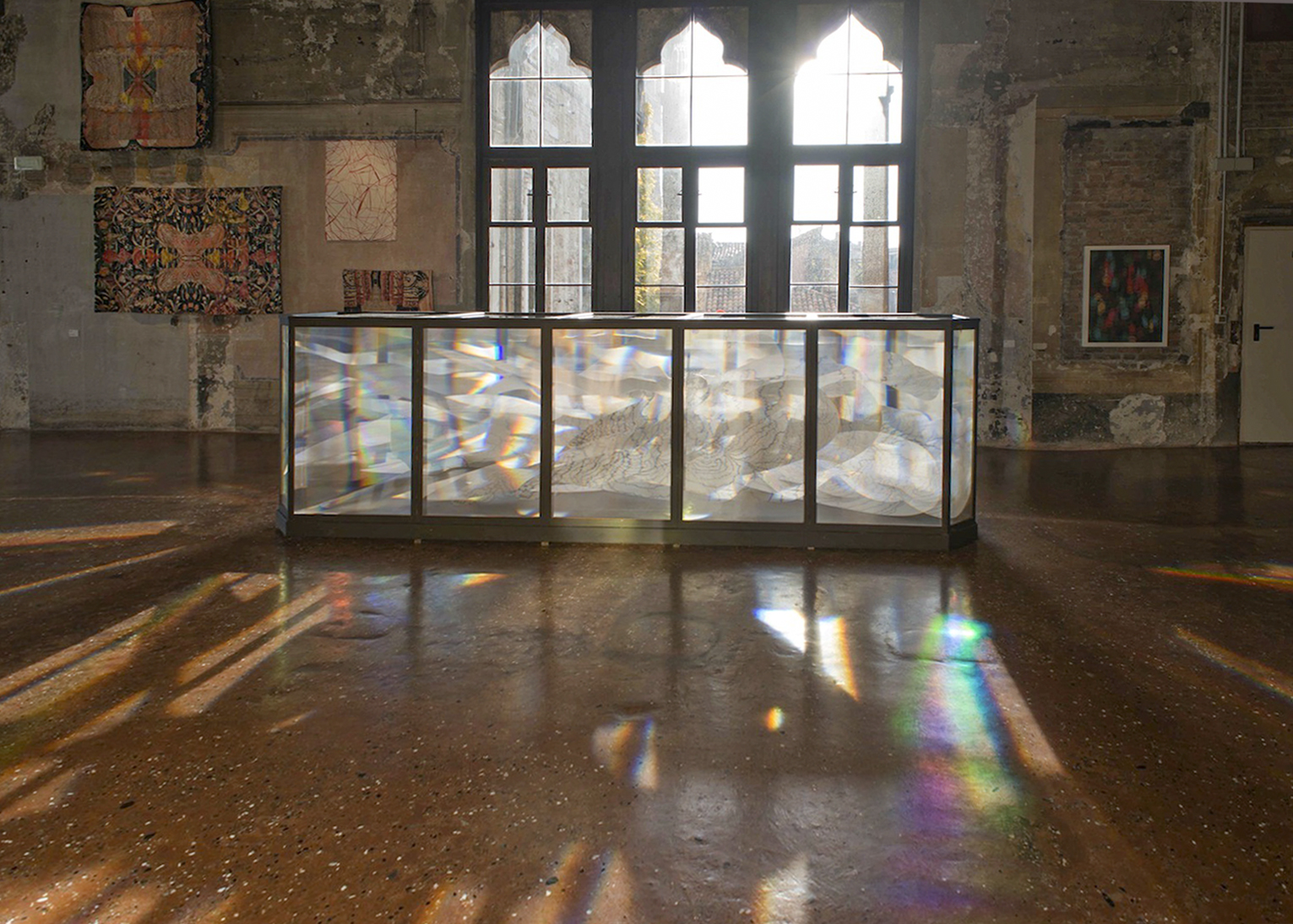 Maurizio donzelli metamorfosi