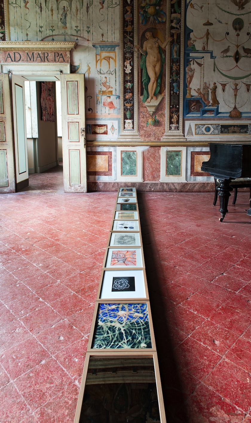 Maurizio Donzelli Palazzo Barbò