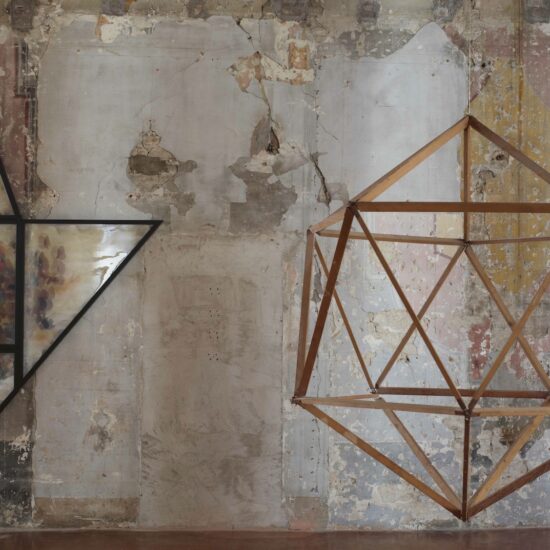 Maurizio donzelli metamorfosi