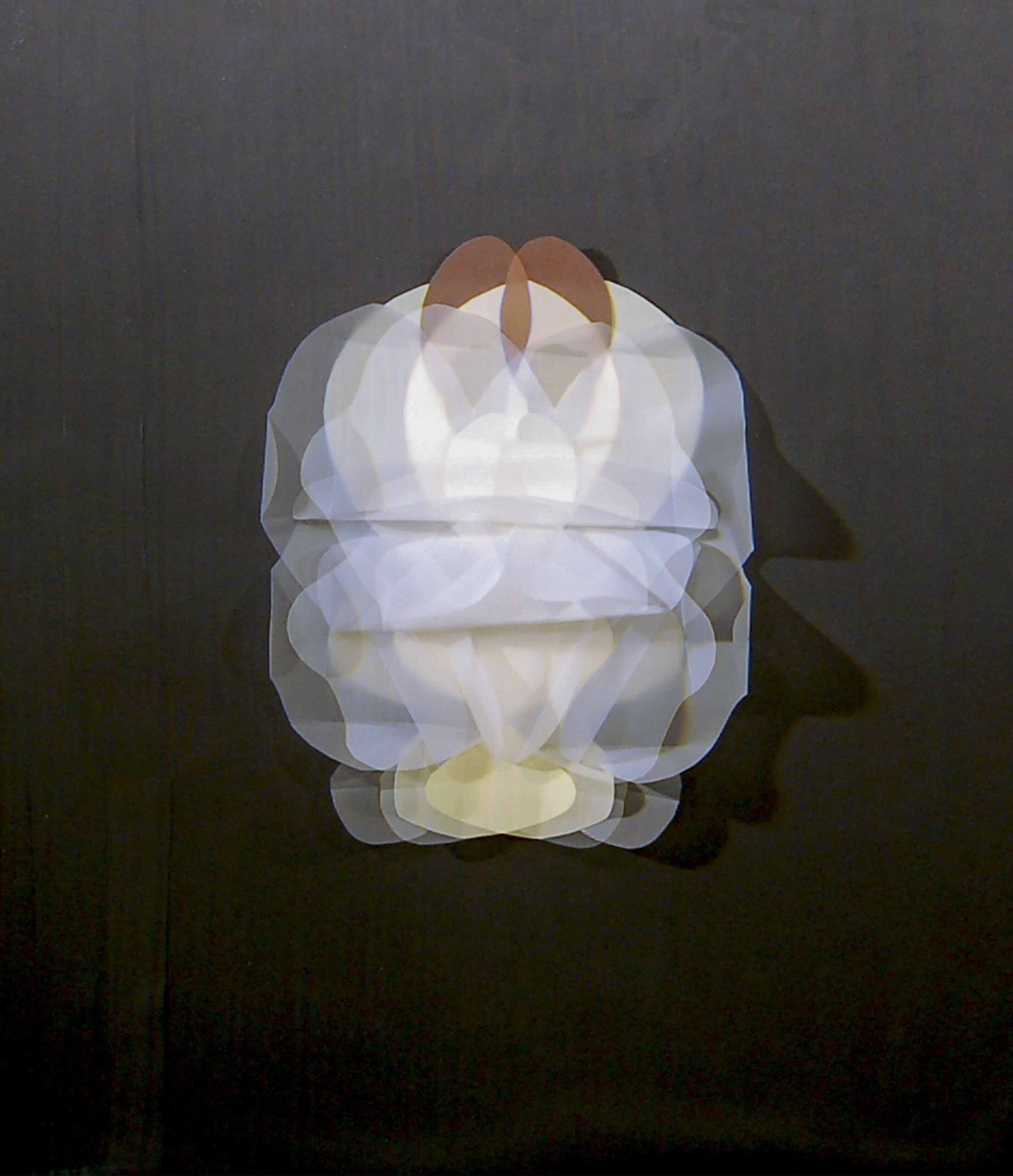 Mirror Maurizio Donzelli