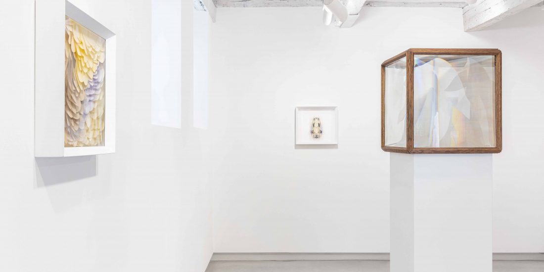 Maurizio Donzelli, L'insieme vuoto, exhibition view, Marignana Arte, Venezia. © Enrico Fiorese
